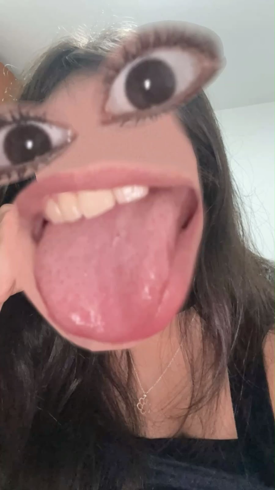 Lari, a zoeira